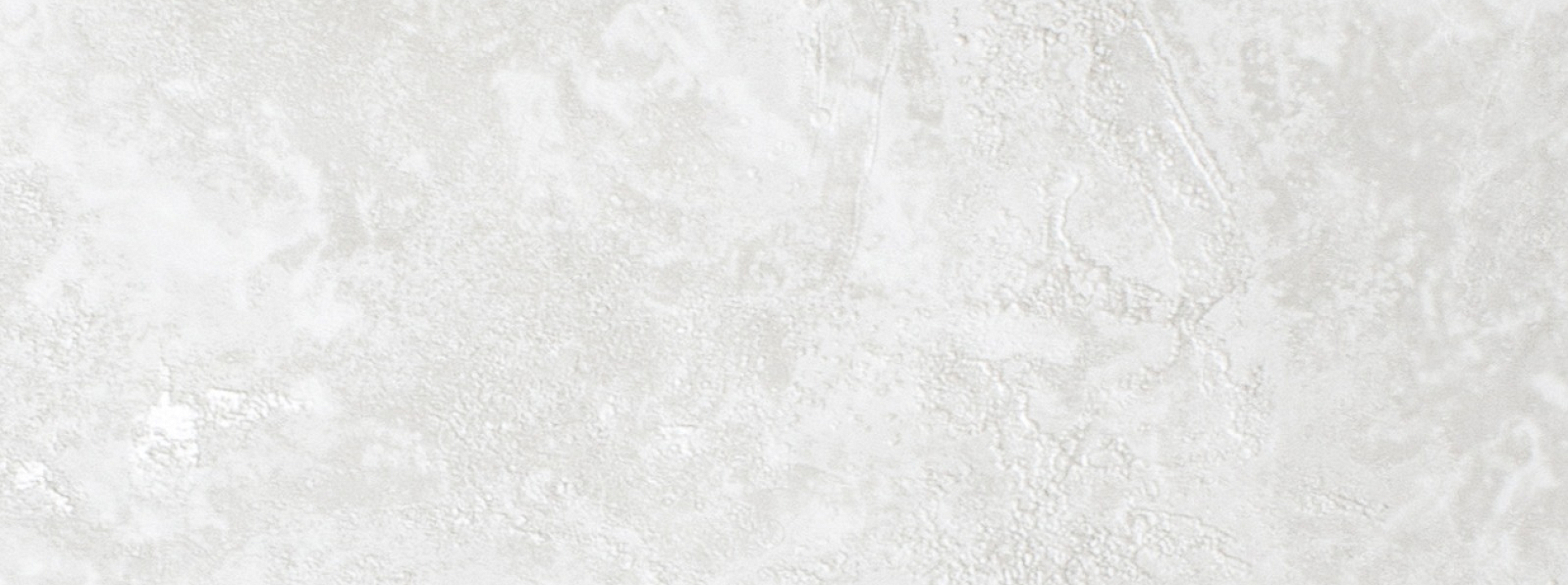 Изображение Rose Фортуна 99811