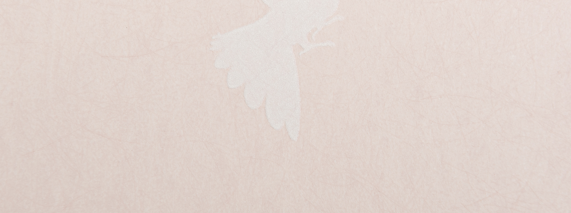 Изображение Bernardo Bartalucci Legend 5071-3