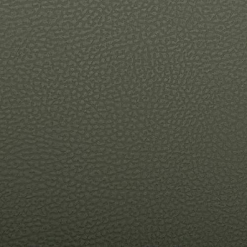 glv
