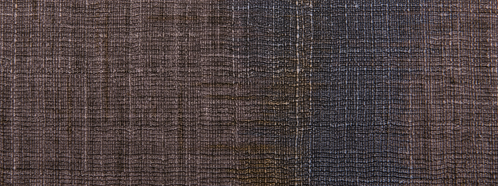 Изображение Zambaiti Philipp Plein 80050